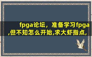 fpga论坛，准备学习fpga,但不知怎么开始,求大虾指点,希望详细点,多谢。