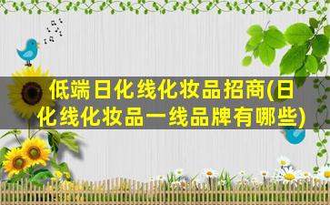 低端日化线化妆品招商(日化线化妆品一线品牌有哪些)