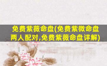 免费紫薇命盘(免费紫微命盘两人配对,免费紫薇命盘详解)