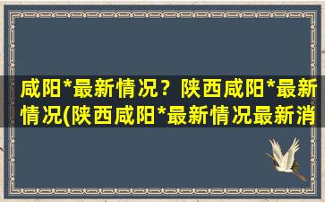 咸阳*最新情况？陕西咸阳*最新情况(陕西咸阳*最新情况最新消息)插图