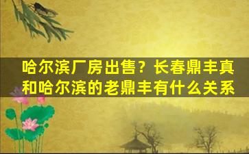 哈尔滨厂房*？长春鼎丰真和哈尔滨的老鼎丰有什么关系