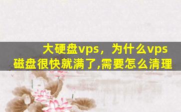大硬盘vps，为什么vps磁盘很快就满了,需要怎么清理