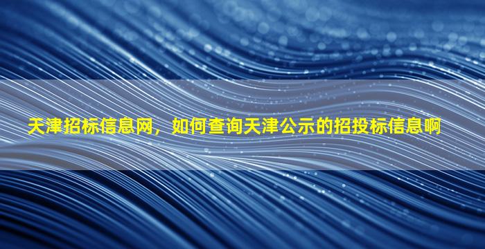天津招标信息网，如何查询天津公示的招投标信息啊