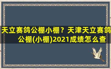 天立赛鸽公棚小棚？天津天立赛鸽公棚(小棚)2021成绩怎么查询