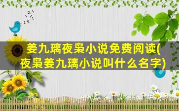 姜九璃夜枭小说免费阅读(夜枭姜九璃小说叫什么名字)