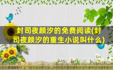 封司夜颜汐的免费阅读(封司夜颜汐的重生小说叫什么)