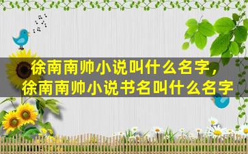 徐南南帅小说叫什么名字，徐南南帅小说书名叫什么名字