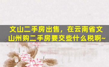 文山二手房*，在云南省文山州购二手房要交些什么税啊~