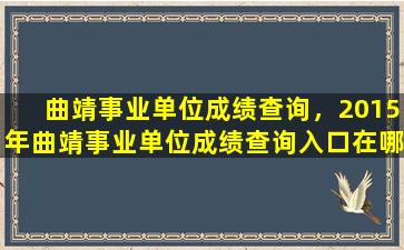 曲靖事业单位成绩查询，2015年曲靖事业单位成绩查询入口在哪里
