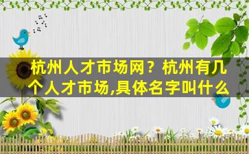 杭州人才市场网？杭州有几个人才市场,具体名字叫什么