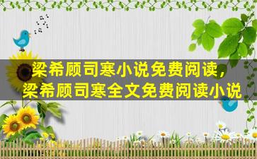 梁希顾司寒小说免费阅读，梁希顾司寒全文免费阅读小说