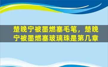 楚晚宁被墨燃塞毛笔，楚晚宁被墨燃塞玻璃珠是第几章