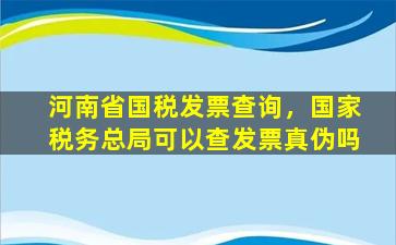 河南省国税发票查询，*税务总局可以查发票真伪吗