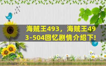 海贼王493，海贼王493-504回忆剧情介绍下!