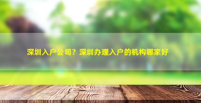 深圳入户*？深圳办理入户的机构哪家好
