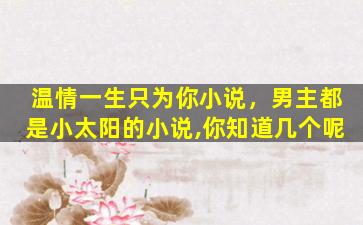 温情一生只为你小说，男主都是小太阳的小说,你知道几个呢