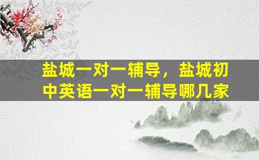 盐城一对一辅导，盐城初中英语一对一辅导哪几家