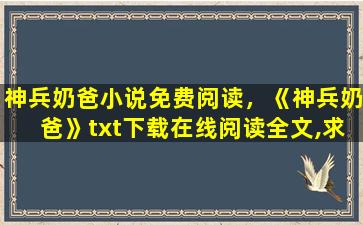 神兵奶爸小说免费阅读，《神兵奶爸》txt下载在线阅读全文,求百度网盘云资源