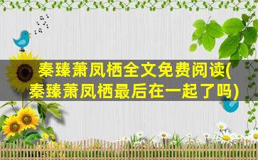 秦臻萧凤栖全文免费阅读(秦臻萧凤栖最后在一起了吗)
