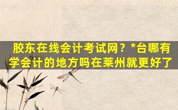 胶东在线会计考试网？*台哪有学会计的地方吗在莱州就更好了