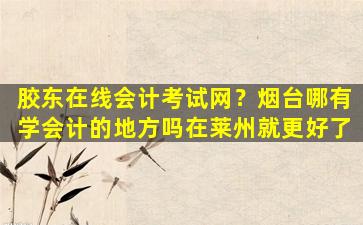 胶东在线会计考试网？*台哪有学会计的地方吗在莱州就更好了