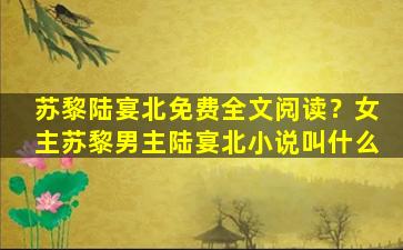 苏黎陆宴北免费全文阅读？*苏黎男主陆宴北小说叫什么