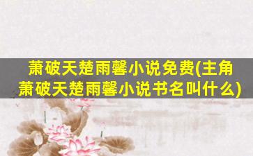 萧破天楚雨馨小说免费(主角萧破天楚雨馨小说书名叫什么)