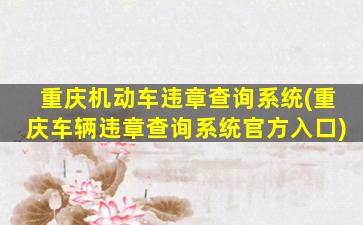 重庆机动车违章查询系统(重庆车辆违章查询系统官方入口)