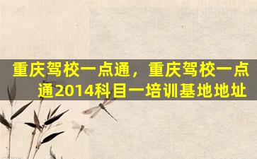 重庆驾校一点通，重庆驾校一点通2014科目一培训基地地址