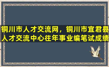 铜川市人才交流网，铜川市宜君县人才交流中心往年事业编笔试成绩