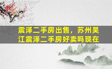 震泽二手房*，苏州吴江震泽二手房好卖吗现在