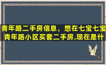 青年路二手房信息，想在七宝七宝青年路小区买套二手房,现在是什么行情