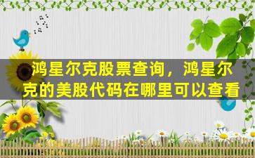 鸿星尔克股票查询，鸿星尔克的美股代码在哪里可以查看