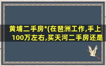 黄埔二手房*(在琶洲工作,手上100万左右,买天河二手房还是黄埔、番禺)插图